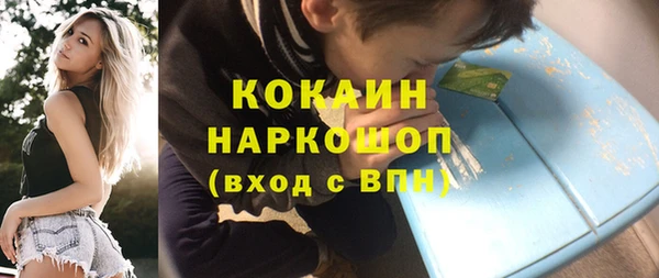 spice Инсар