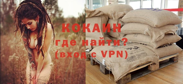 бошки Алексин