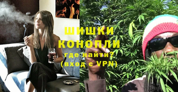 бошки Алексин